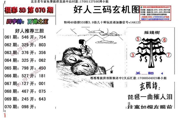 香港特马最正确免费资料,设计策略快速解答_整版DKJ656.74