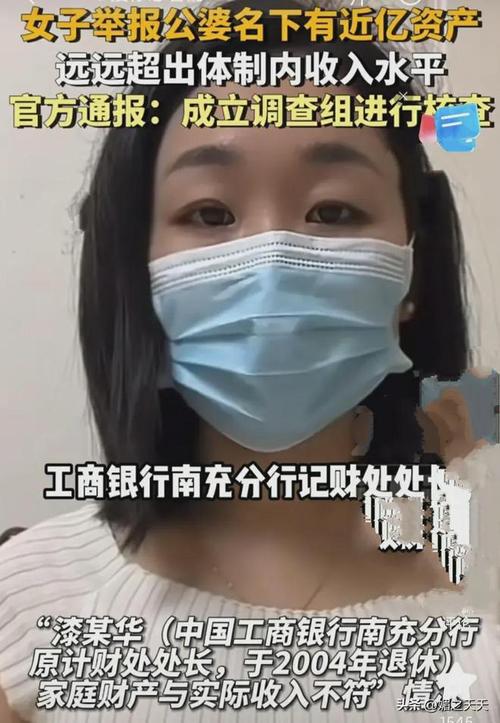 官方谈女子举报公婆资产近亿,设计策略快速解答_VR型43.237