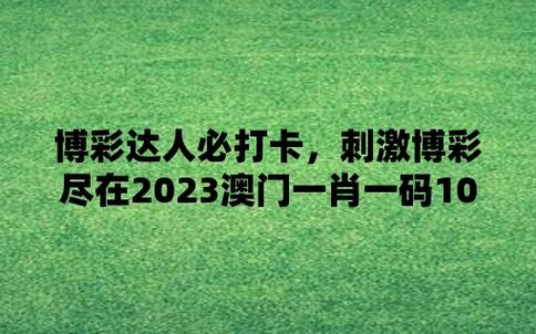 2024年12月14日 第2页